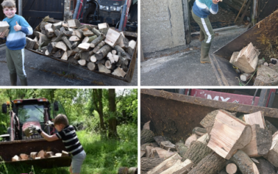 Mini & Junior Volunteers 2.6 Challenge – Freddie