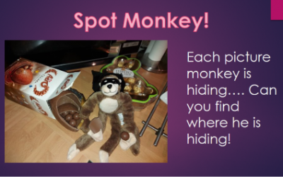 Virtual JIGSAW Friendly Friday – Spot Monkey