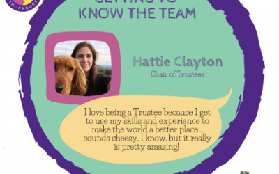 Changes to the JIGSAW Trustee Team