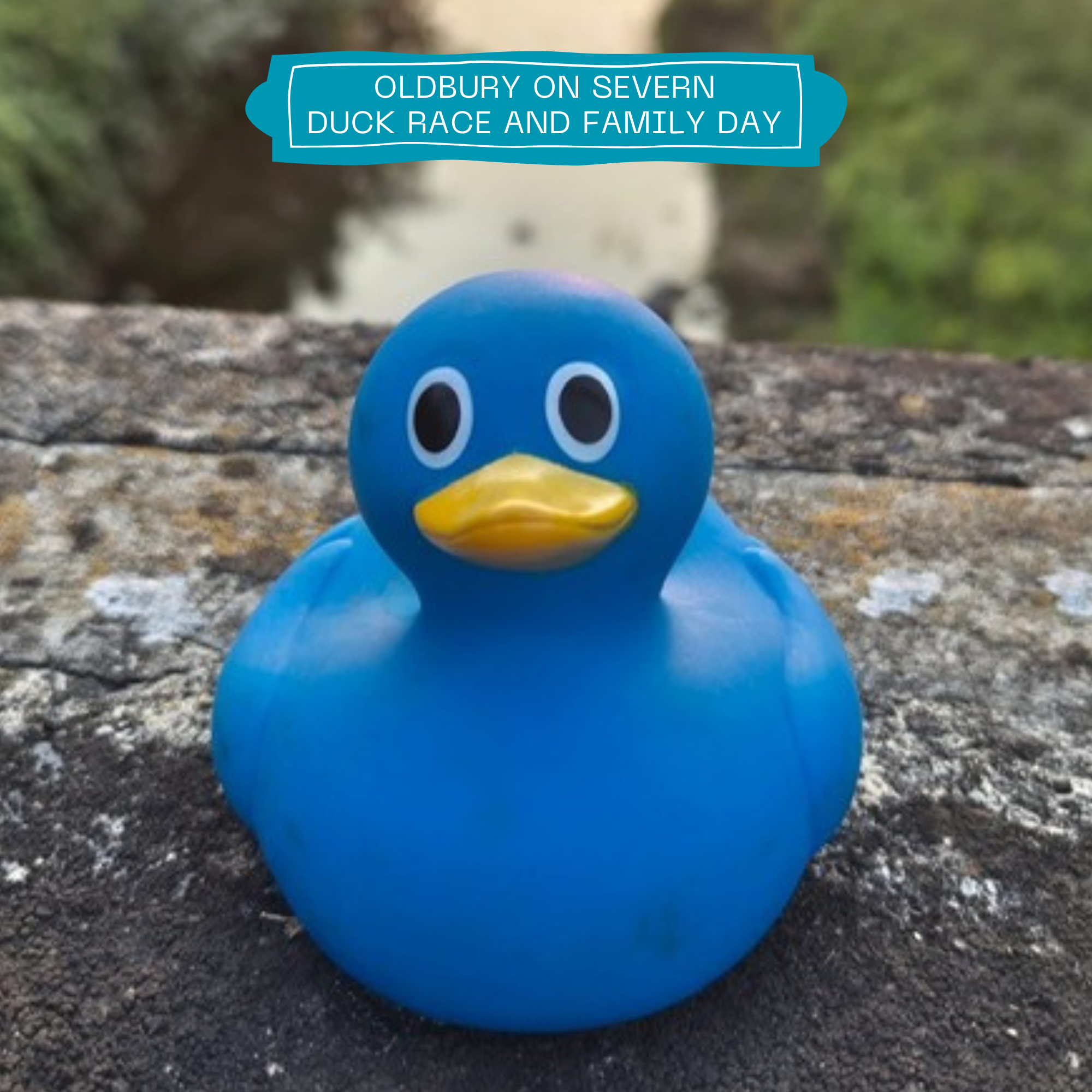 Oldbury on Severn Duck Race Entry